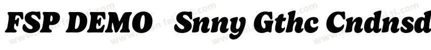 FSP DEMO   Snny Gthc Cndnsd Bk Regu字体转换
